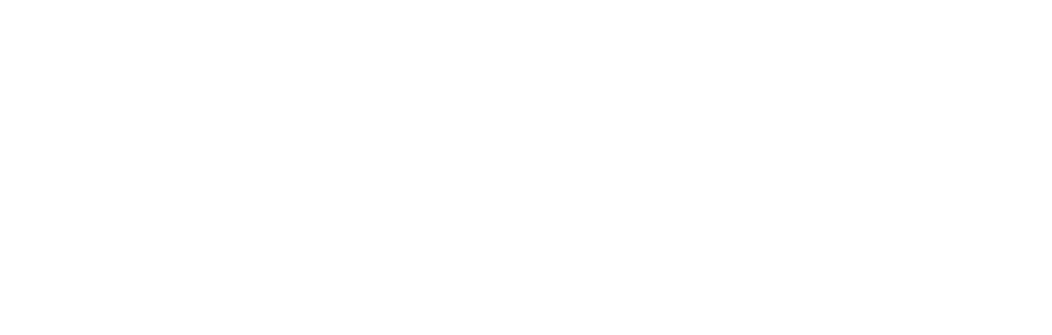 EDO TOUCH GOODS WHOLESALERS L.L.C
